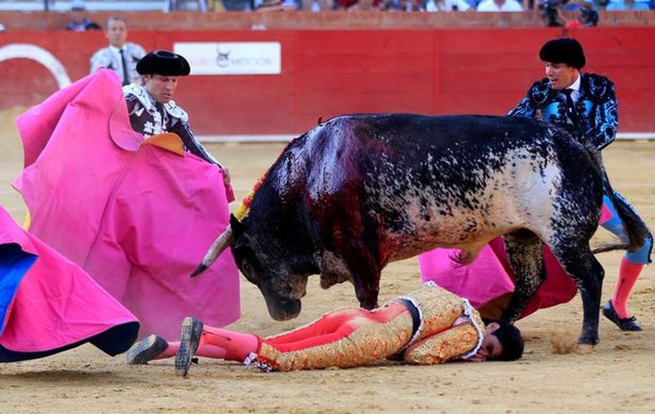 PAY-Bullfighter-dies-at-Feria-del-Angel.jpg