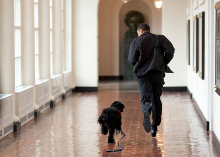 obama11.jpg