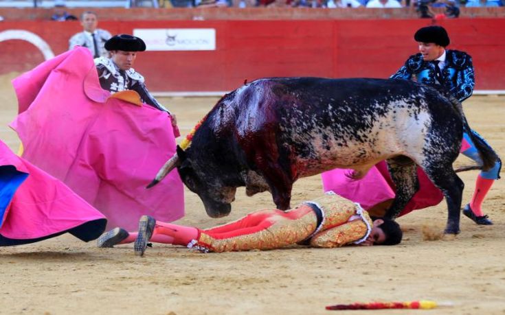 spain-bullfighting.jpg
