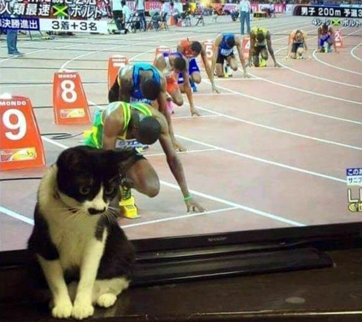 timing6