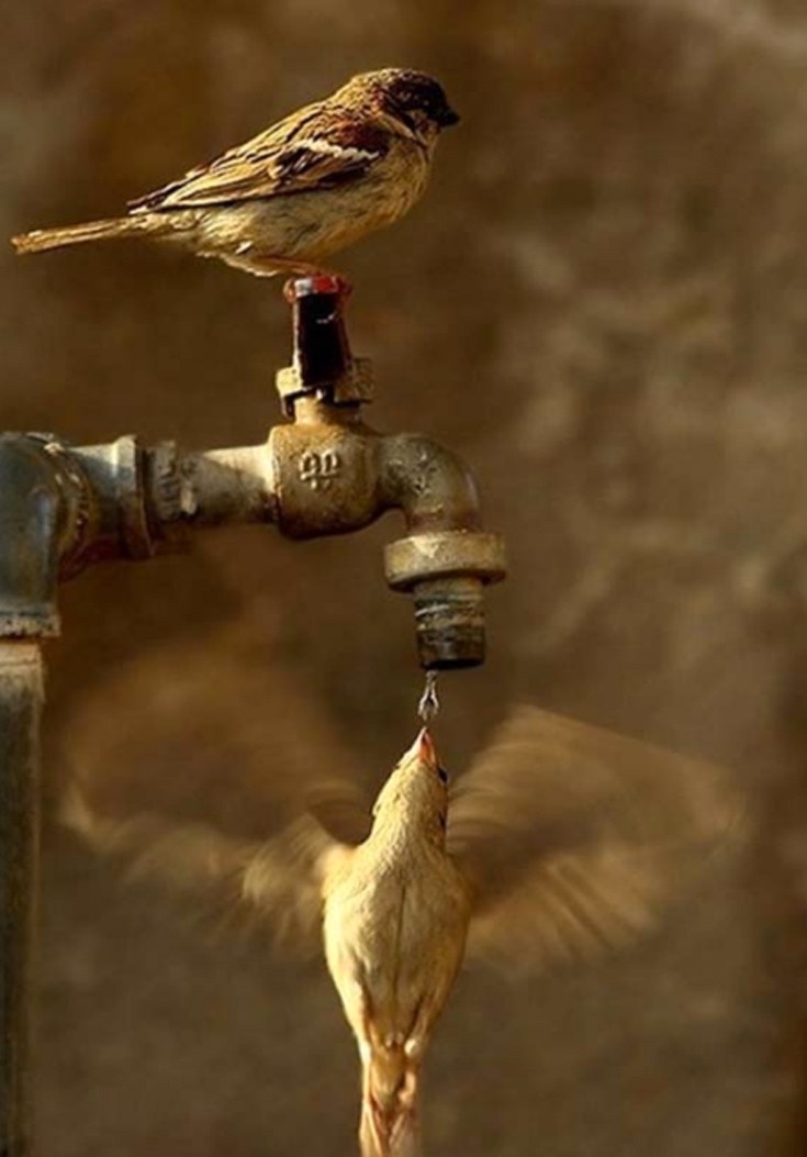 timing9