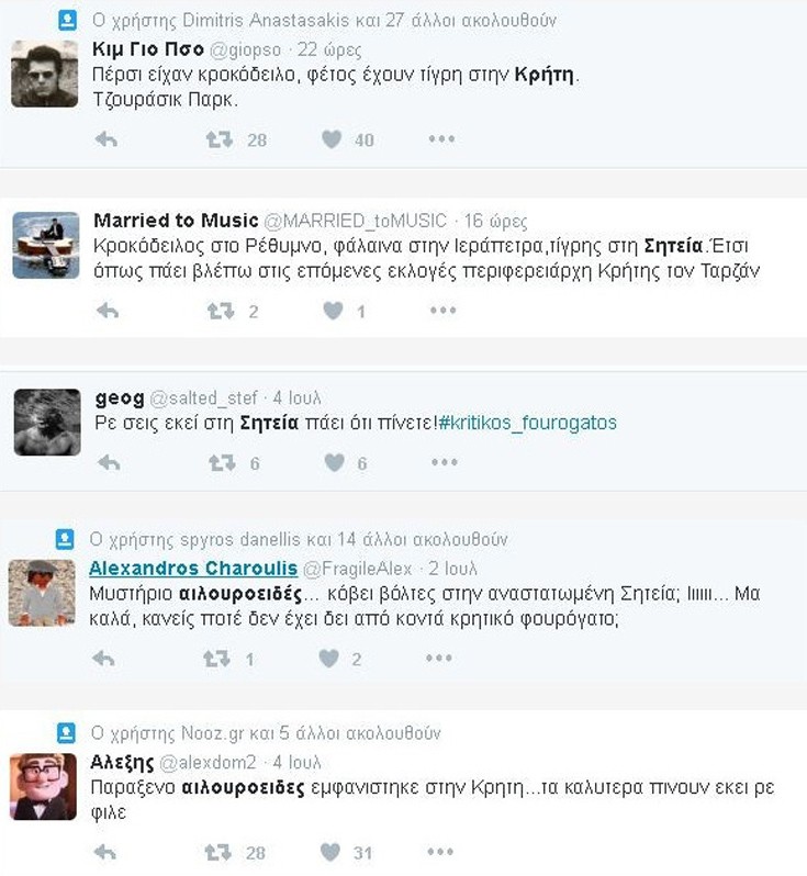 twittergatos.jpg