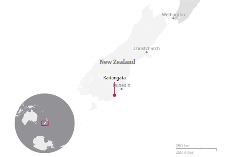 zealand1.jpg