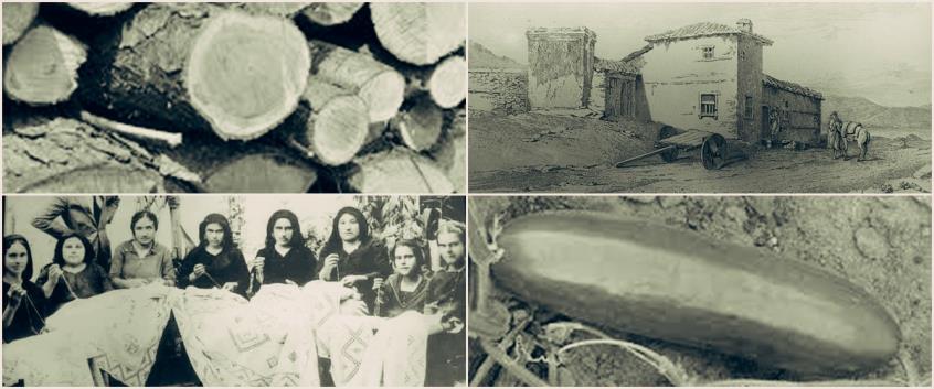 Η Μαρικκού, ο Ππίγκος, ο Ππάντζιαρος – Γιατί έμειναν στην ιστορία!