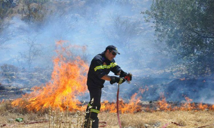 Φωτιά τα Λεύκαρα – Κινητοποίηση στην Πυροσβεστική