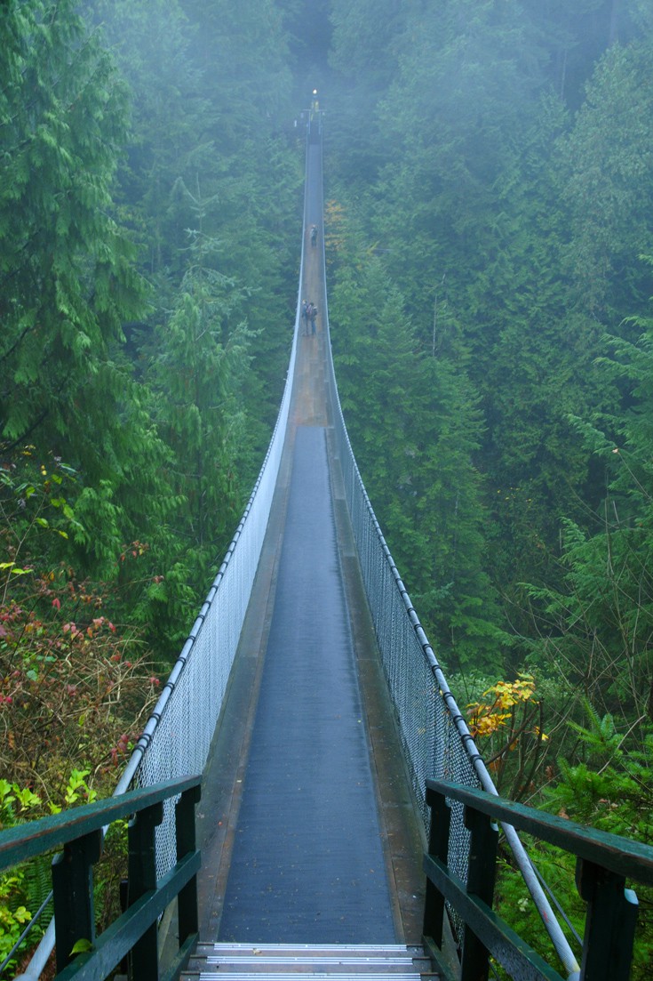 Capilano5.jpg