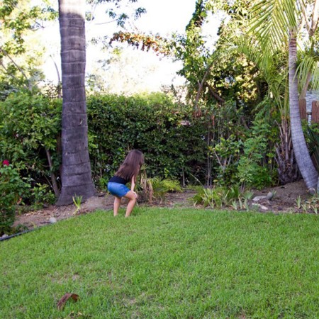 Picture1-11-11