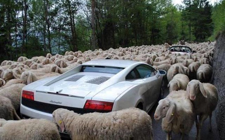 Supercars1.jpg
