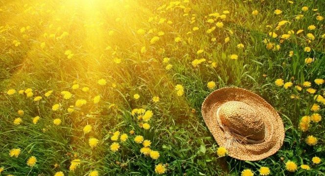 fbec24a4369b9f41f11da45c8fb020b4_XL.jpg.pagespeed.ce_.nnkbMu3YZu-664×381.jpg
