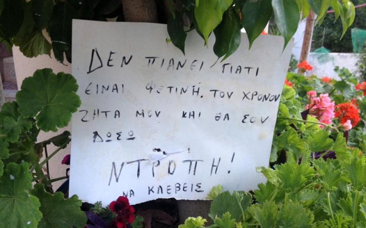 kriti-pinakides-1.jpg