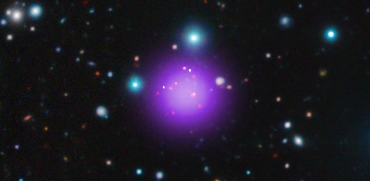 pic23.jpg