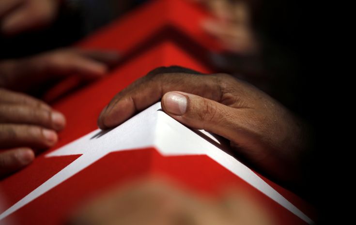turkey3.jpg