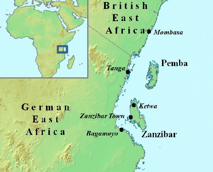 zanzivari12.jpg