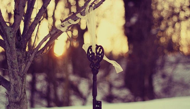 8860c7e1d74364c54798a6ef87022969_XL.jpg.pagespeed.ce_.3CIh9peEZR-664×381.jpg