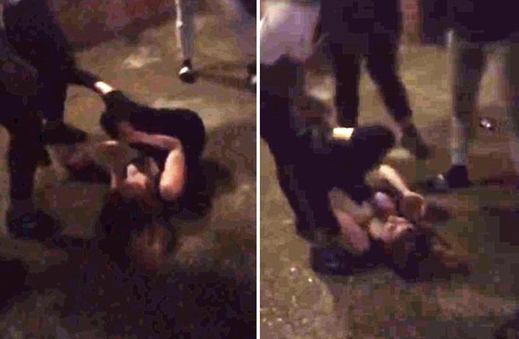 btchfight6.jpg