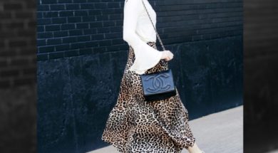 leop020916_-678×381.jpg