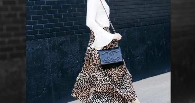 leop020916_-678×381.jpg