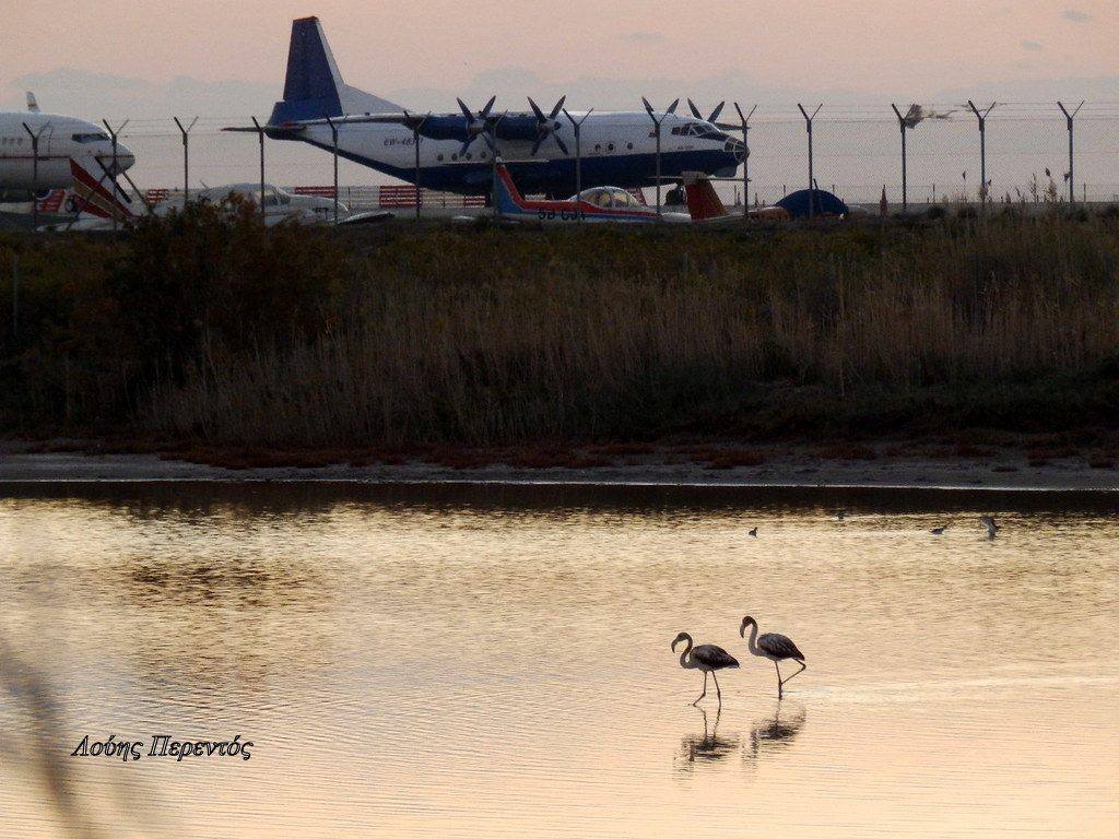 Η πρωϊνή ενημέρωση της ημέρας από την Σκαλιώτισσα!