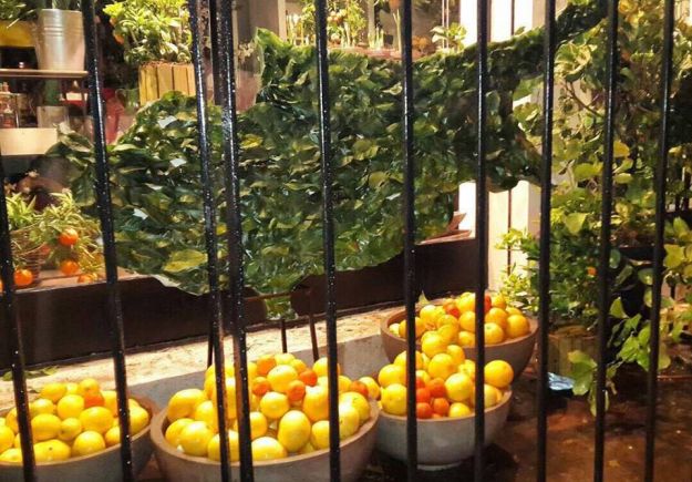 Μια βιτρίνα ανθοπωλείου με την Κύπρο… για την Κύπρο