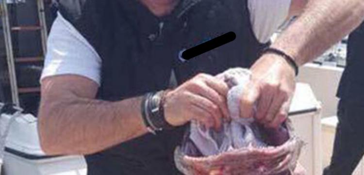 232-0.prwin-proedros-ano.42c6d17102a0642c2f7b007ca6fe6036