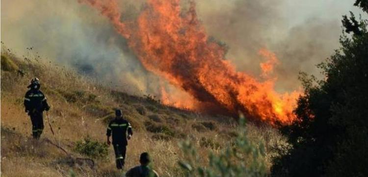 ΑΗΚ-Υπ. Γεωργίας συστήνουν μόνιμη ομάδα εργασίας για μείωση κινδύνου φωτιάς από καλώδια