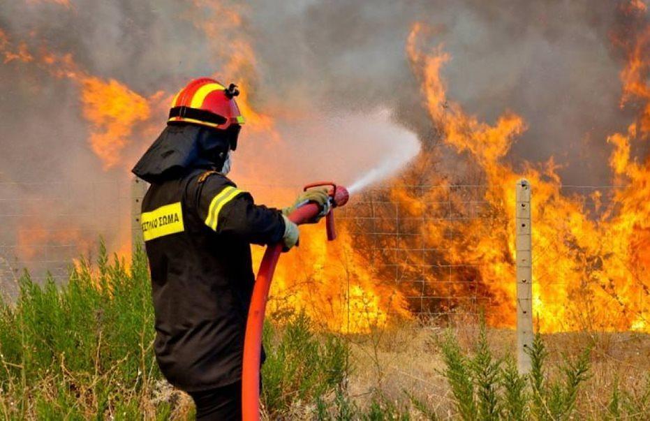 Η ΕΕ παρέχει βοήθεια στις μεσογειακές χώρες για αντιμετώπιση των πυρκαγιών