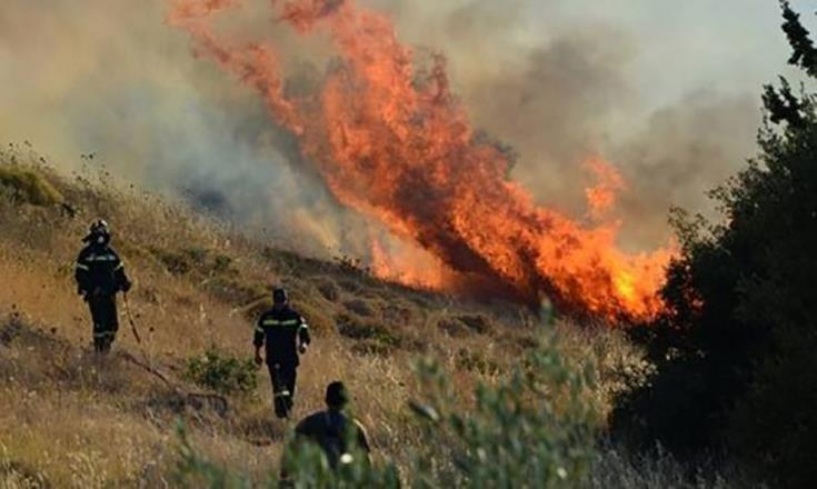 Για κίνδυνο πρόκλησης δασικών πυρκαγιών λόγω καύσωνα προειδοποιεί το Τμ;ήμα Δασών