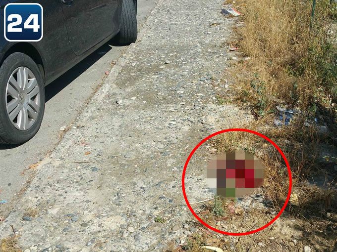 Γεμίζουν την Λάρνακα με εντόσθια ζώων σε σακούλες – Ψάχνουν τους δράστες (pics)
