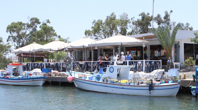 40 μαγαζιά για ψάρια και θαλασσινά σε όλη την Κύπρο