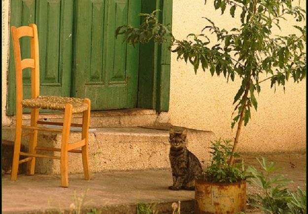 Η «τσαέρα» και άλλες κυπριακές λέξεις που δεν είναι τελικά αυτό που νομίζαμε