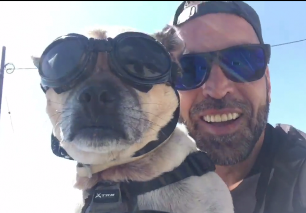 Ο πιο διάσημος σκύλος του νησιού φοράει γυαλιά και ζει στα Λεύκαρα
