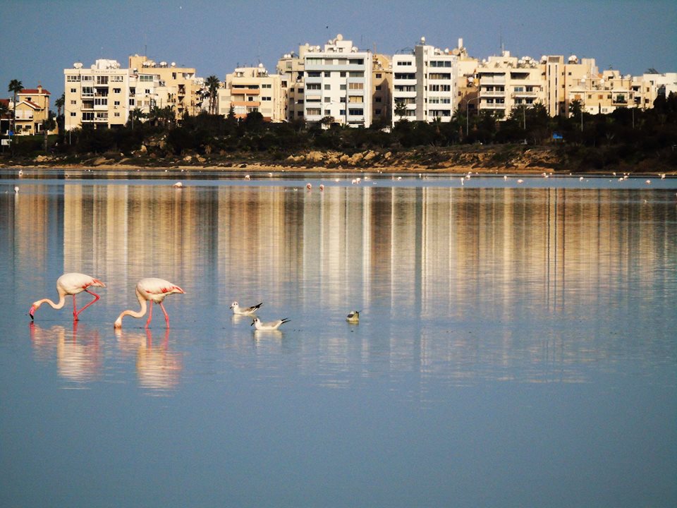 Η πρωινή ενημέρωση της ημέρας από τη Σκαλιώτισσα