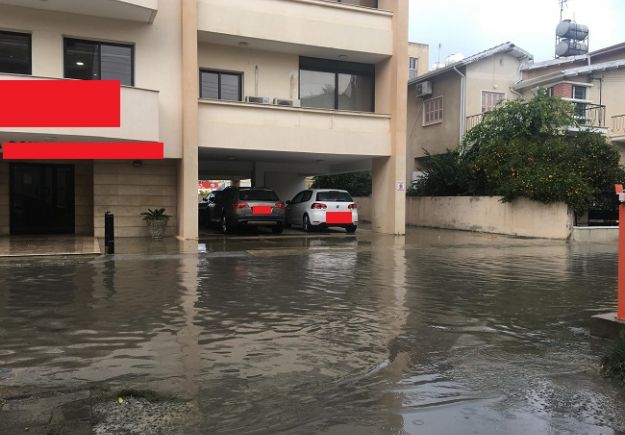 Ο στρούθος έδωσε και φέτος το «παρών» του στη Λάρνακα