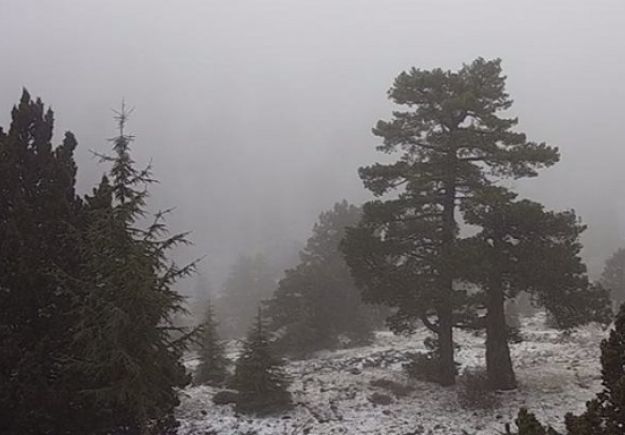Στο Τρόοδος άρχισε να χιονίζει