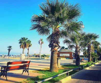 21151645_1445773578839565_2495970873806777840_n