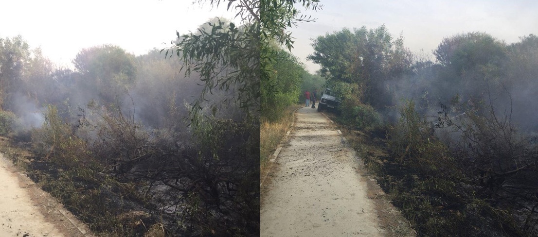 Ξέσπασε πυρκαγιά στο δάσος του Παττίχειου Δημοτικού Θεάτρου (pics)