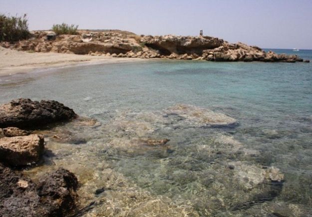 7 (κυπριακές) παραλίες για βουτιές με το σκύλο σας