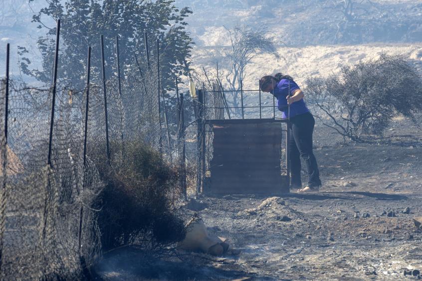 Στα σκαριά νομοσχέδιο με αυστηρότερες ποινές για τους υπαίτιους των πυρκαγιών