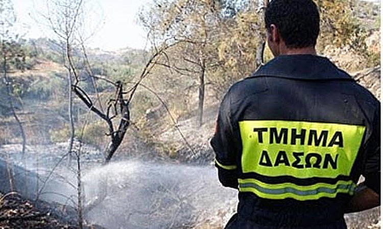Διευθυντής Τμ. Δασών: Σε πλήρη εγρήγορση η Κύπρος για πυρκαγιές