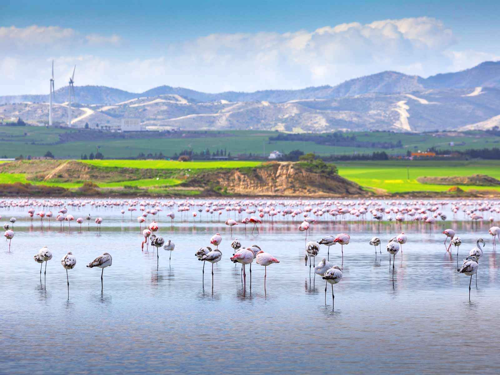 Aliki-Salt-Lake
