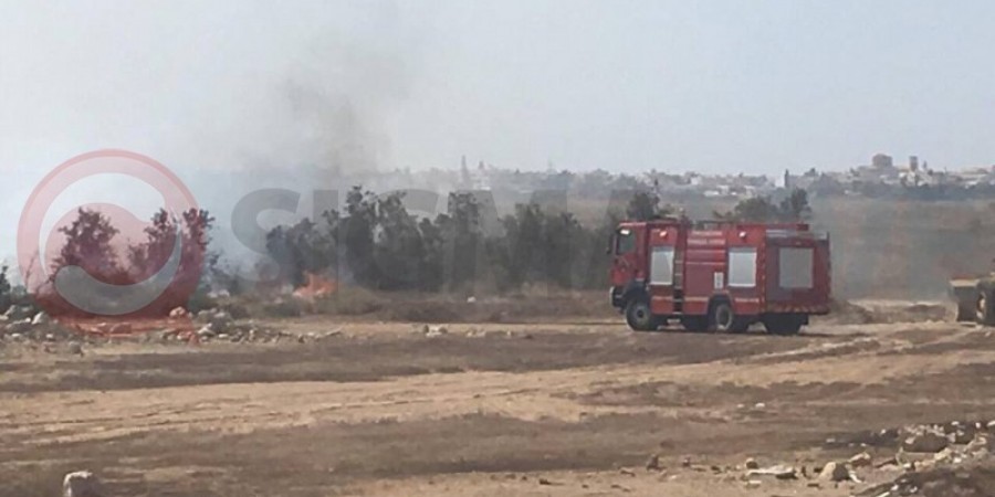 Παραλίμνι: Πυρκαγιά στην περιοχή Λίμνη (ΦΩΤΟΣ)