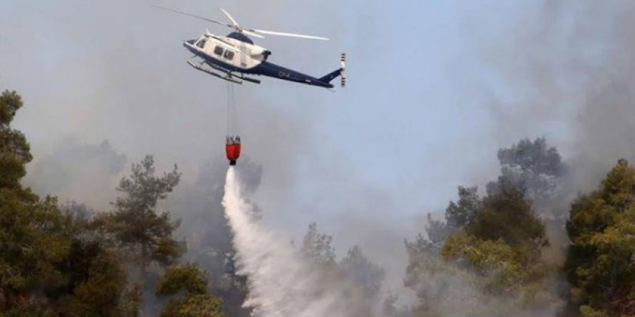 Το προφίλ του εμπρηστή του δάσους των Καπέδων και Μαχαιρά