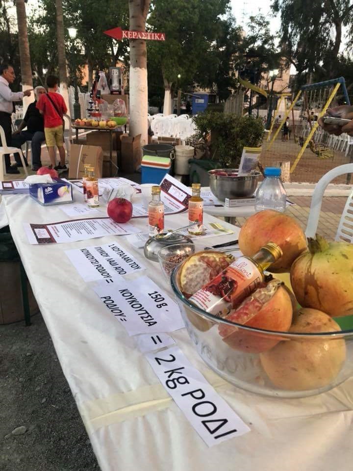 6o Παγκύπριο Φεστιβάλ Ροδιού στην Ορμήδεια