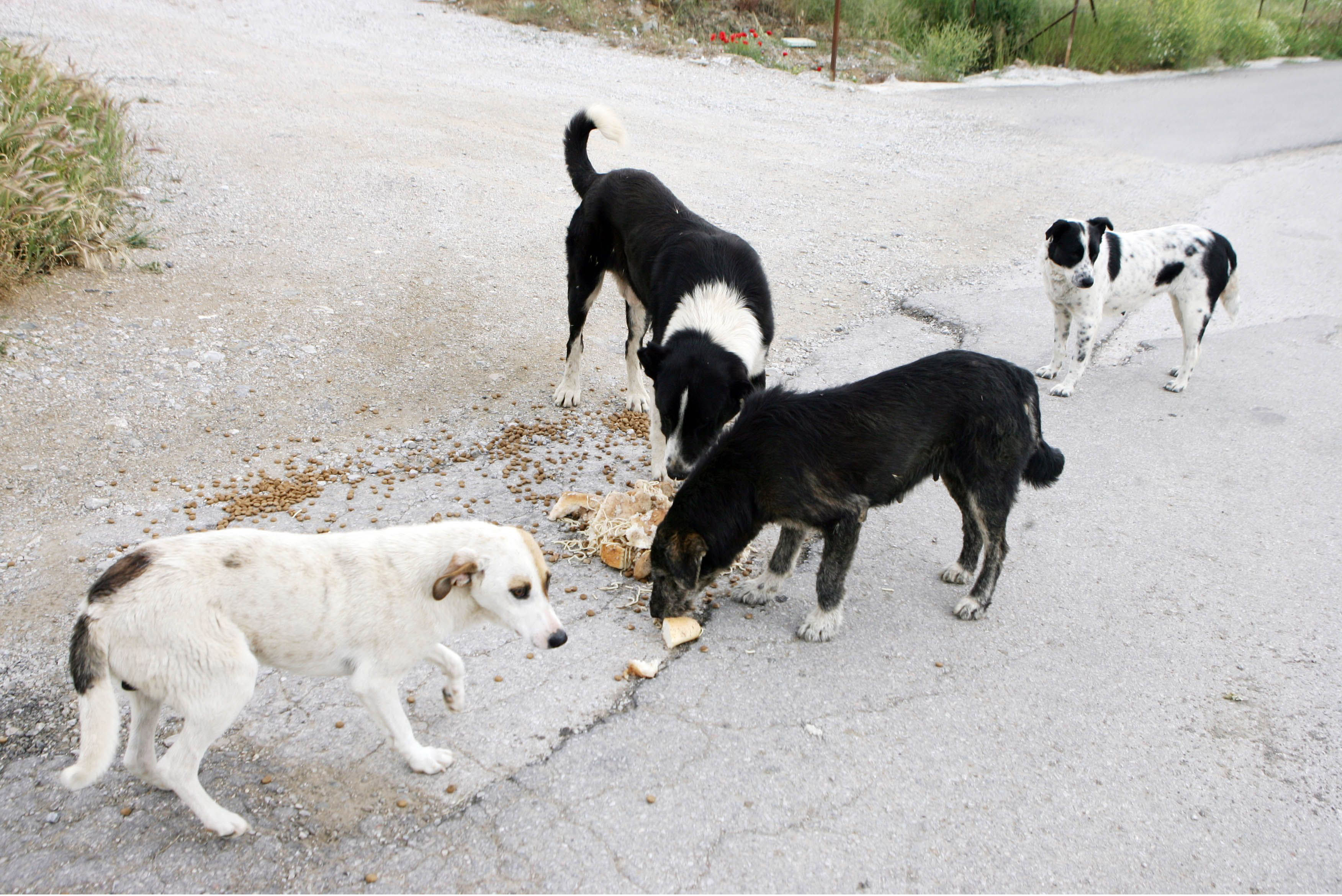 «Πως μπορείς να γίνεις ο καλύτερος φίλος του καλύτερου σου φίλου».