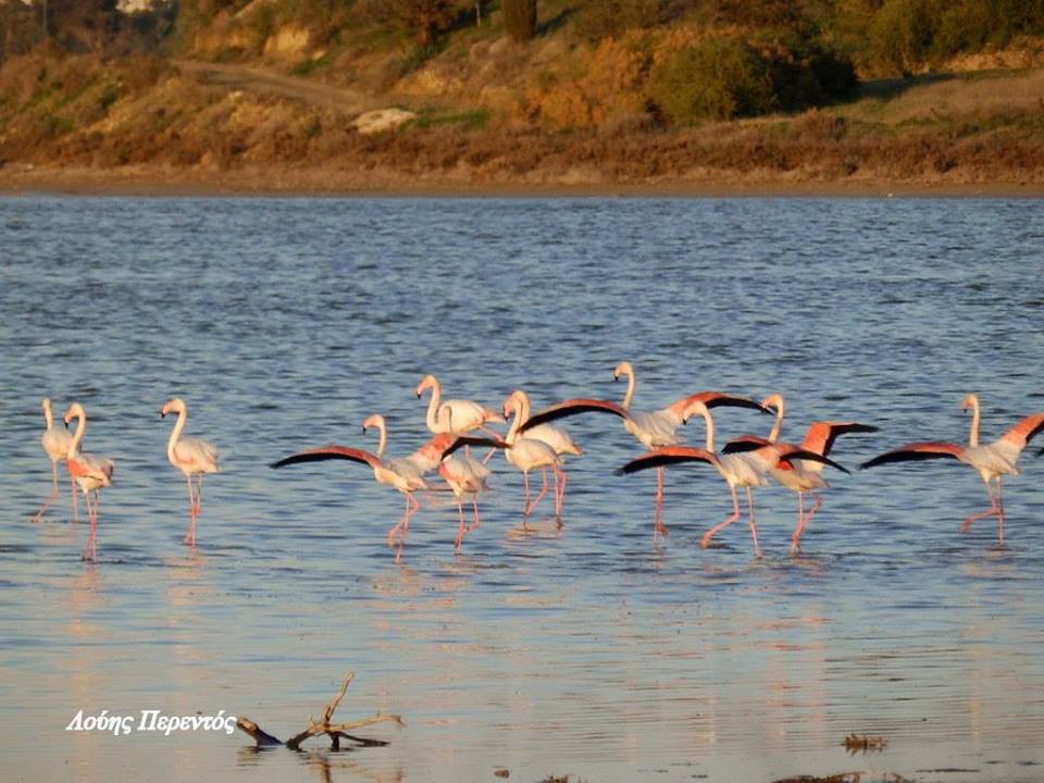 Η πρωινή ενημέρωση της ημέρας από τη Σκαλιώτισσα