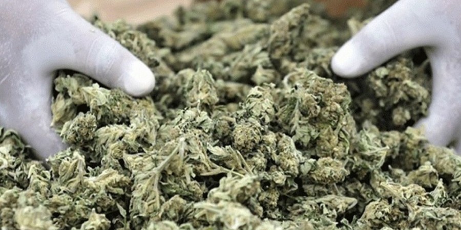Η διαδρομή των 20kg κάνναβης: Βαρκελώνη-Αθήνα-Λάρνακα