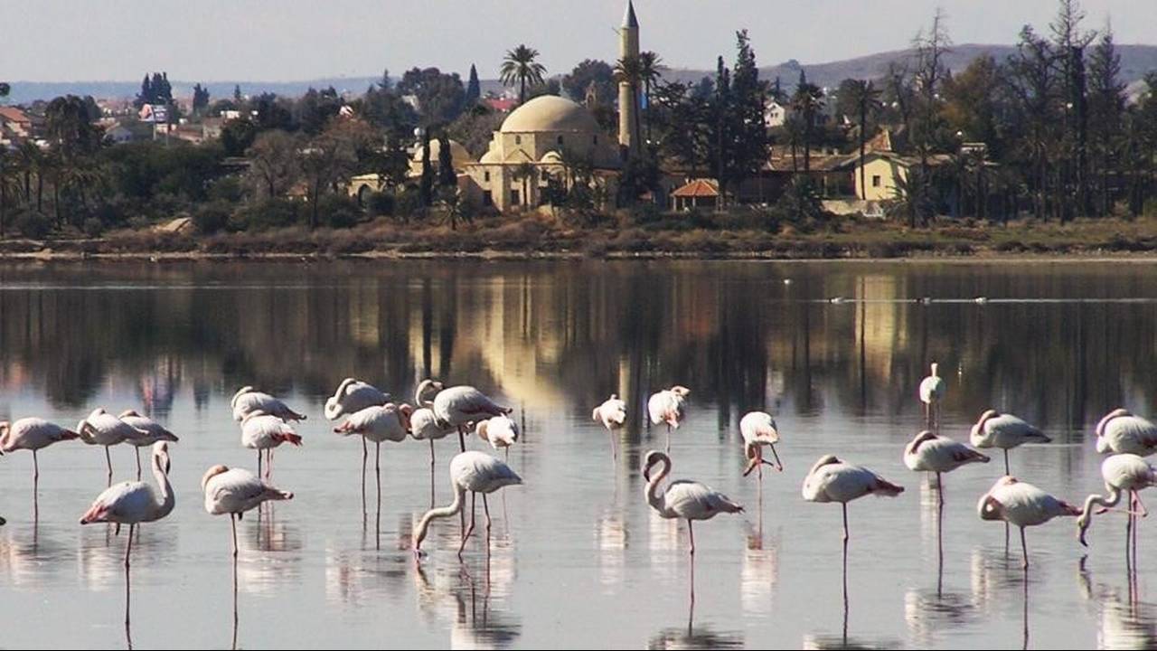 Λάρνακα : Η τρίτη μεγαλύτερη πόλη της Κύπρου , αλλά η πρώτη σε ομορφιά