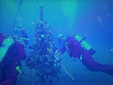 Στόλισμα Χριστουγεννιάτικου δέντρου στο Ναυάγιο Ζηνοβία