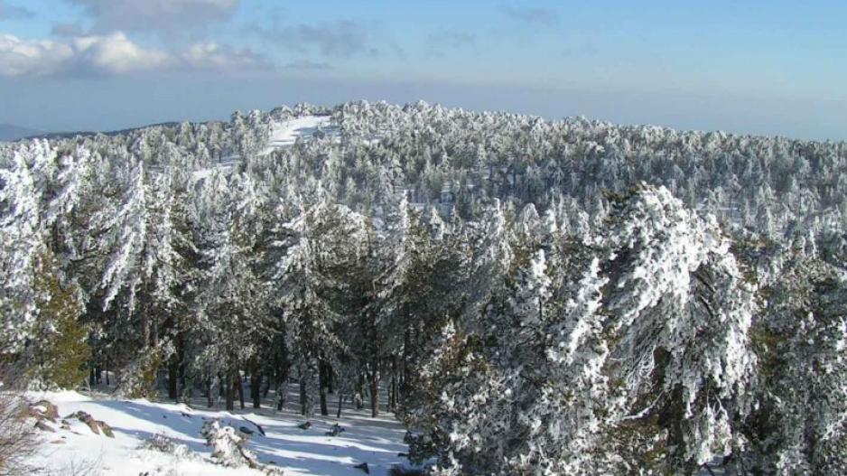 Τέλειος καιρός για εκδρομή το Σαββατοκύριακο– Στα 54 εκατοστά το χιόνι στο Τρόοδος