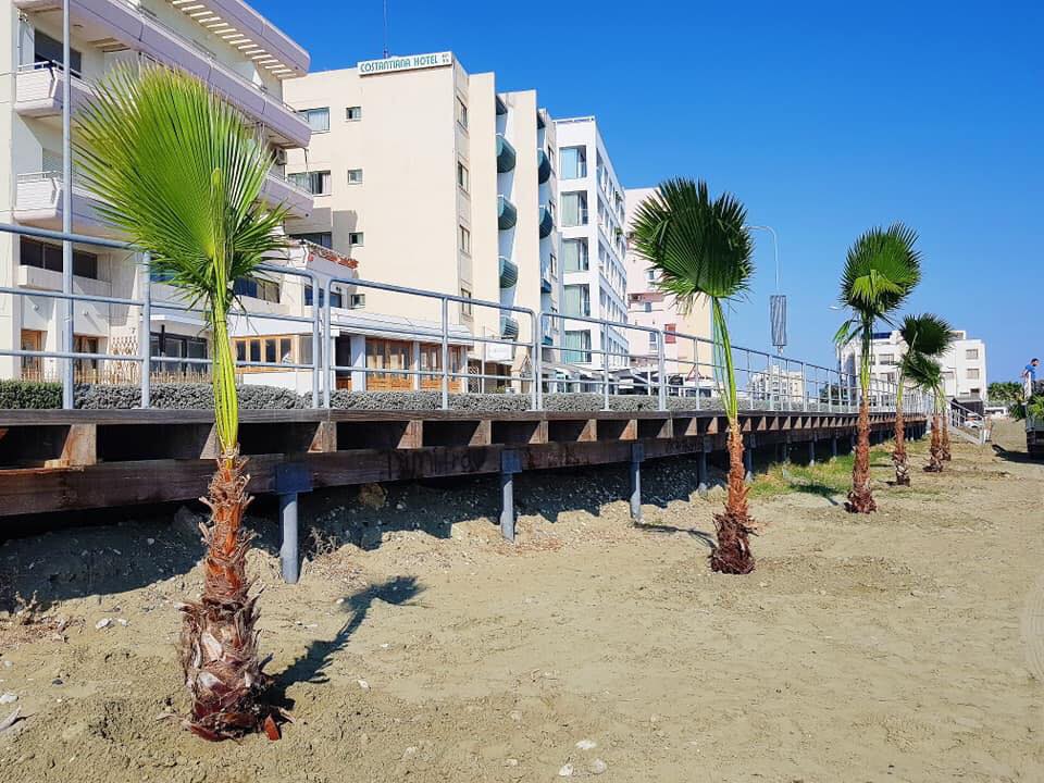 Εμπλουτίζονται και πρασινίζουν οι παραλίες της Λάρνακας